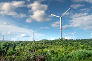 Como a Sustentabilidade Pode Transformar Seu Negócio