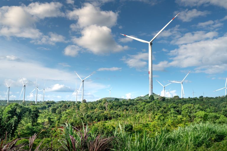 Como a Sustentabilidade Pode Transformar Seu Negócio